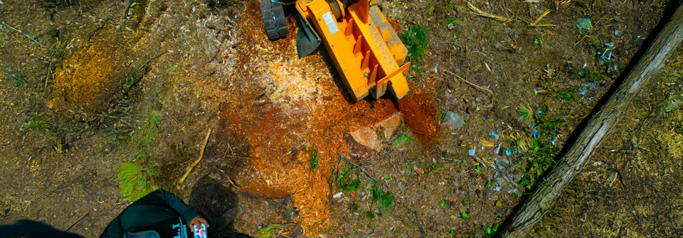 Stump Grinding