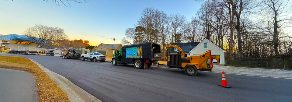 1slider Tree Removal