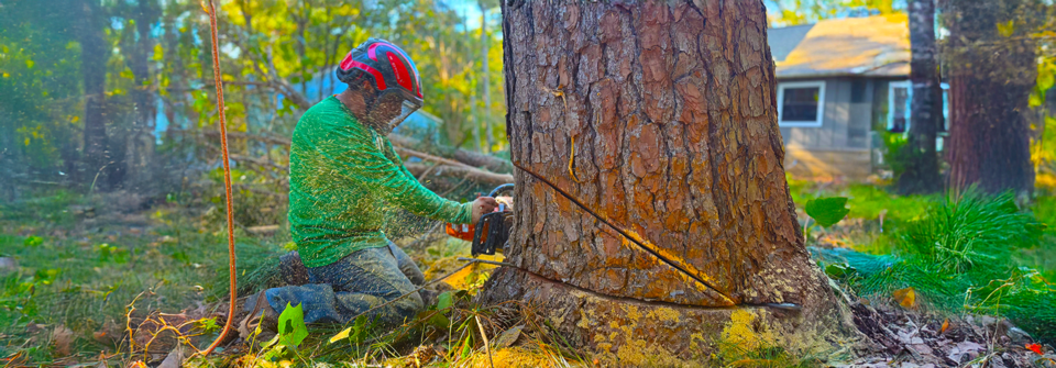 1slider Tree Service 1