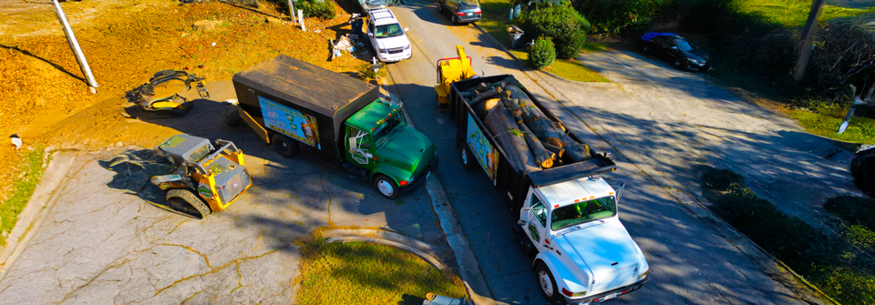 1slider Tree Service